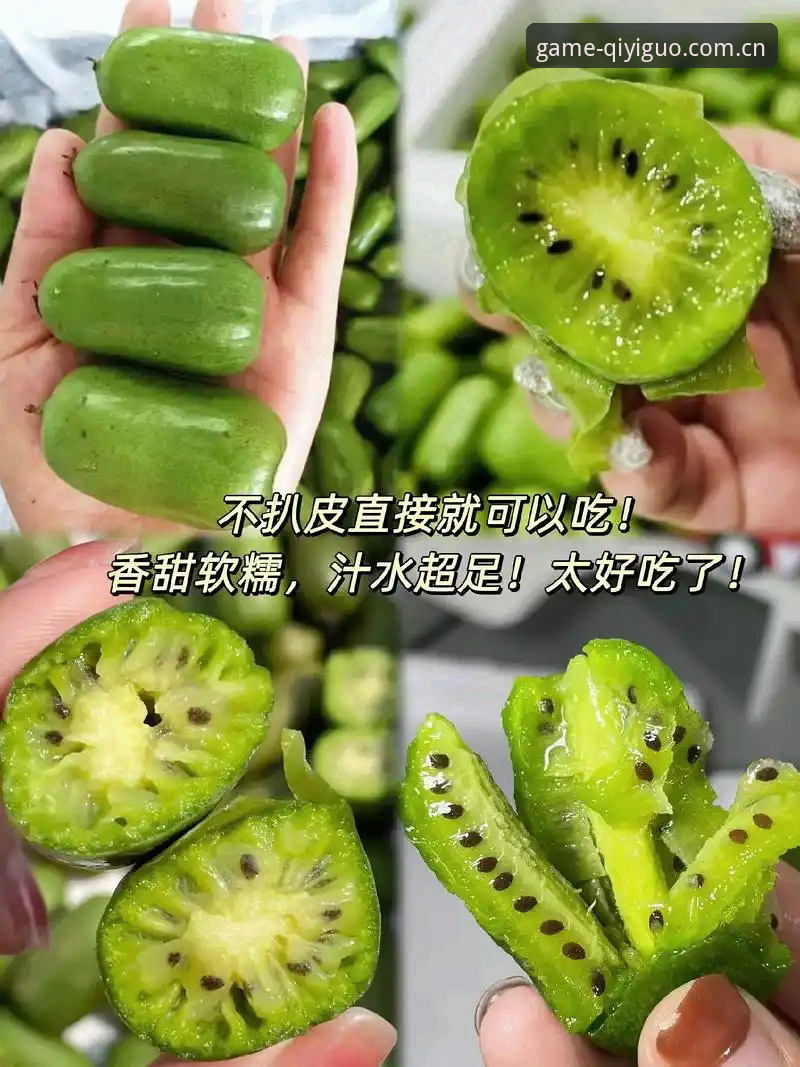 奇异果体育平台最新动态：v2.0.5版本升级亮点与更新推荐全解读