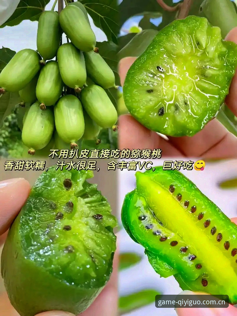奇异果体育安卓版深度解析：功能、安装与使用全攻略